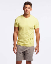 Load image into Gallery viewer, Element Tee - Surplus
